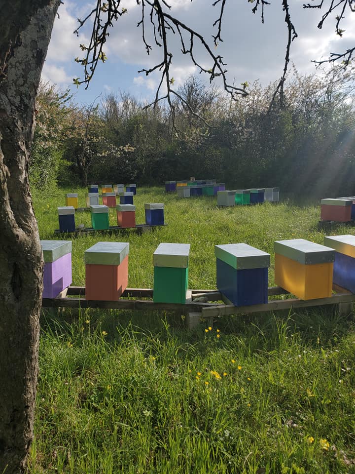 rucher du rucher de la brédoire dans une forêt